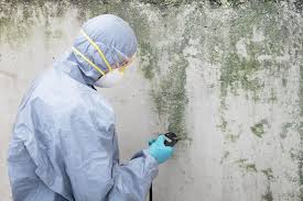 Professional Mold Inspection in Moweaqua, IL